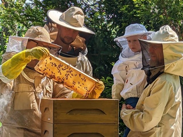 Bienen für Schulen und Kita