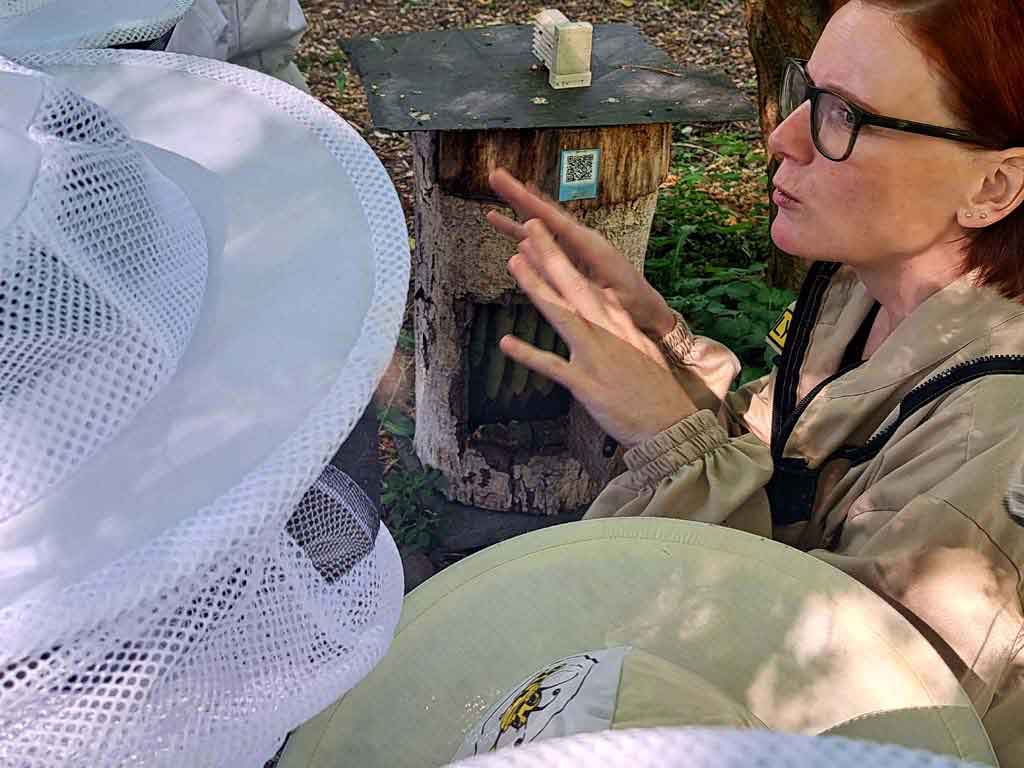 Abenteuer am Bienenstand